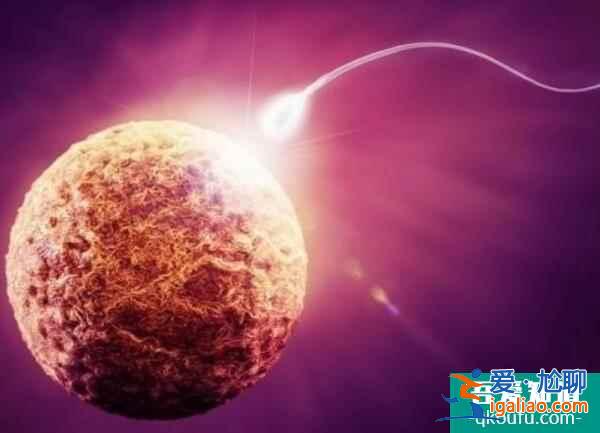 單身男士赴美做試管嬰兒，助您開啟父親節(jié)模式？