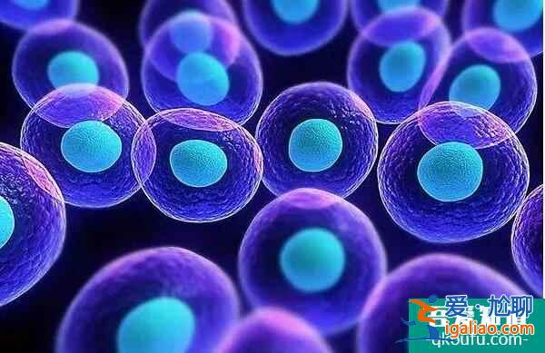 單角子宮對生育的影響？