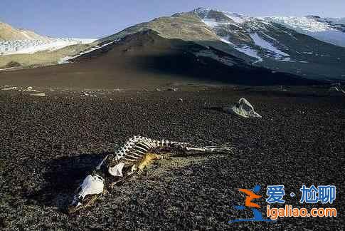 昆侖山的地獄之門——昆侖死亡谷？