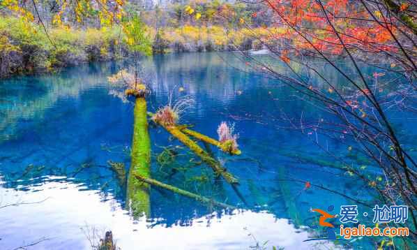 川西，四川最迷人的地區(qū)【海量美圖】？