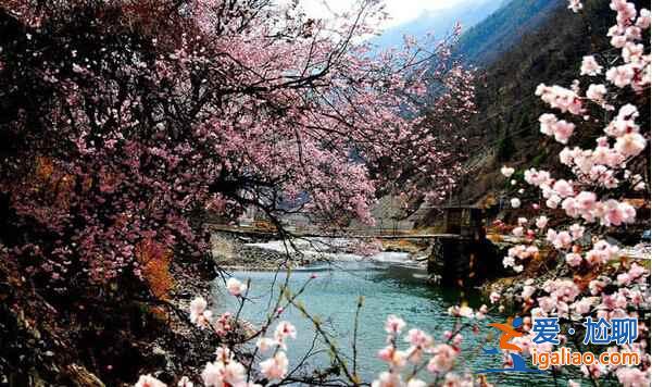 川西，四川最迷人的地區(qū)【海量美圖】？