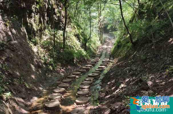 馬陵山門票多少錢 馬陵山屬于哪個(gè)城市？
