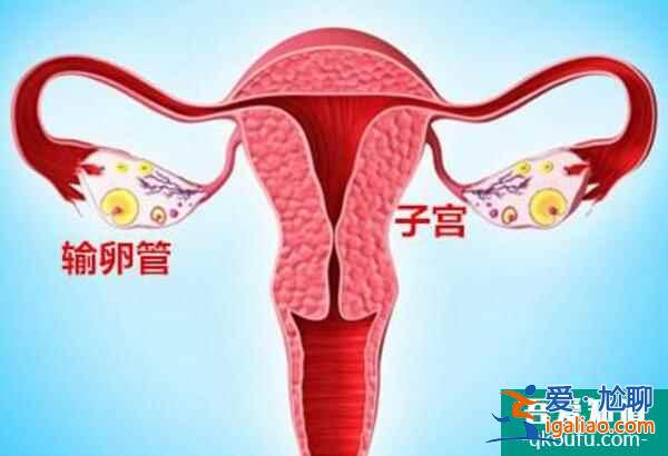 輸卵管炎癥會(huì)影響試管嬰兒周期的進(jìn)行嗎？？