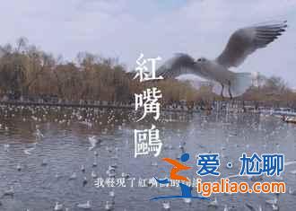 昆明八景有哪些，一起來(lái)數(shù)數(shù)？