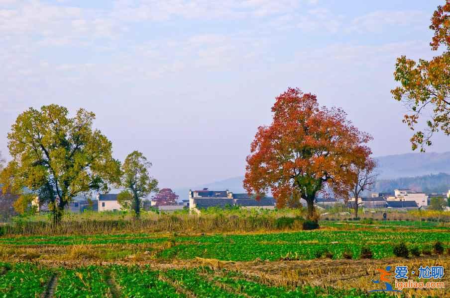 桃花源里，有個(gè)塔川（攝影圣地）？