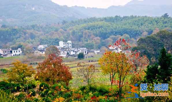 桃花源里，有個(gè)塔川（攝影圣地）？