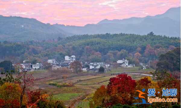 桃花源里，有個(gè)塔川（攝影圣地）？