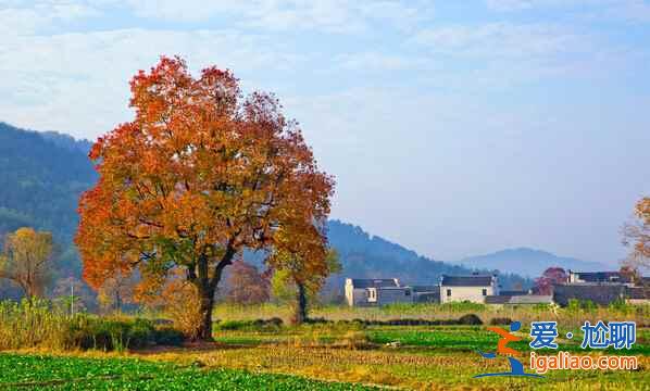 桃花源里，有個(gè)塔川（攝影圣地）？