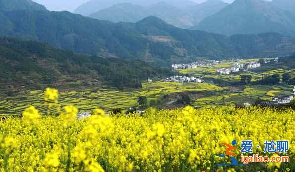 【婺源3月天氣】婺源3月份天氣預(yù)報，婺源3月天氣怎么樣？
