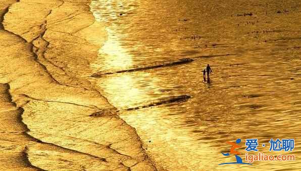 福建霞浦：碧海溢彩、灘涂鋪金，美得不可思議！？