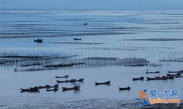 福建霞浦：碧海溢彩、灘涂鋪金，美得不可思議！？
