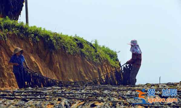 福建霞浦：碧海溢彩、灘涂鋪金，美得不可思議??？