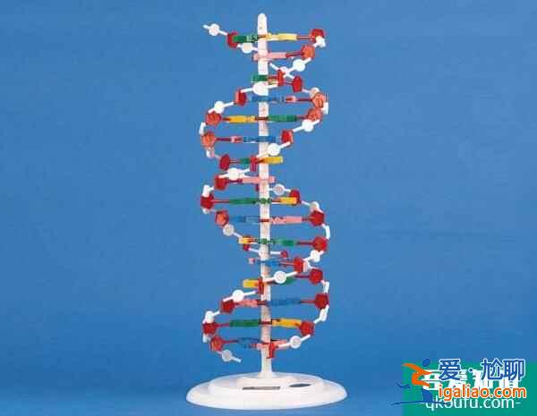 母親節(jié)·感恩禮 HRC為您分享赴美試管助孕攻略？