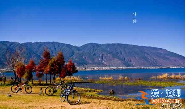 蒼山洱海旁，有個(gè)美麗的大理？
