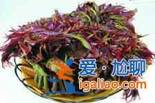 香椿芽炒雞蛋？