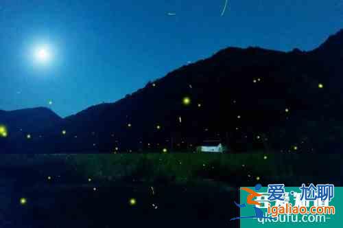 浙個藏在千島湖邊的絕美賞螢地，高鐵直達還很“野”？