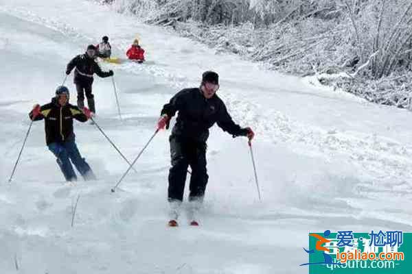 神農(nóng)架冬天有什么好玩的 當(dāng)然不僅僅只有滑雪了？