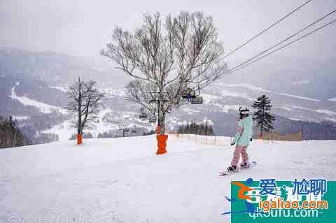 冬季富良野還能這么玩！滑雪玩雪雪橇狗，冰城冰釣熱氣球？