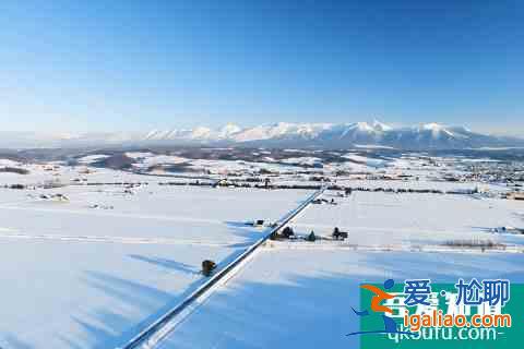 冬季富良野還能這么玩！滑雪玩雪雪橇狗，冰城冰釣熱氣球？
