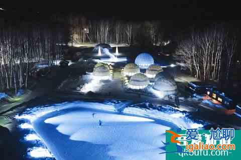 冬季富良野還能這么玩！滑雪玩雪雪橇狗，冰城冰釣熱氣球？