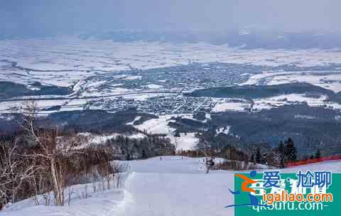 冬季富良野還能這么玩！滑雪玩雪雪橇狗，冰城冰釣熱氣球？