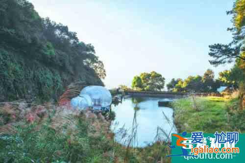 來(lái)重慶，住進(jìn)三合星谷露營(yíng)泡泡屋民宿？