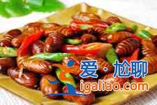 蠶蛹怎么做好吃？