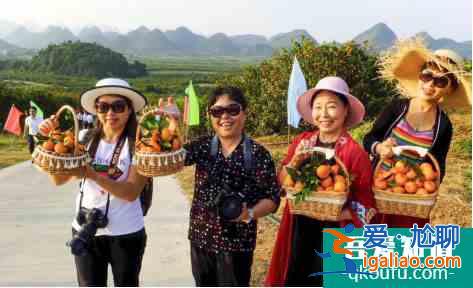 2020·第九屆廣西柳城生態(tài)蜜桔文化旅游節(jié)暨柳城農(nóng)民豐收節(jié)舉行？