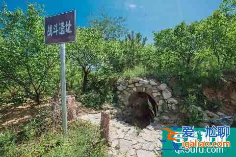十一京郊游•延慶篇，逛百里畫廊、游花海...人少景美遛娃地？