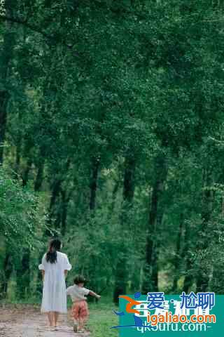 十一京郊游•延慶篇，逛百里畫廊、游花海...人少景美遛娃地？