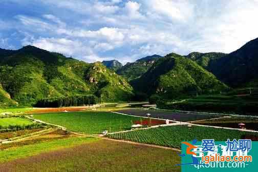 十一京郊去哪玩？密云、順義好去處，登長城、賞菊花、游霧靈山...？