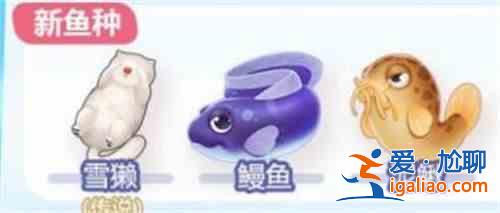 摩爾莊園鰻魚在哪釣？釣鰻魚位置一覽？