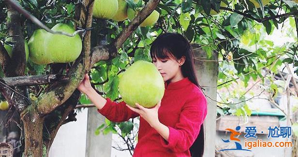李子柒會輸嗎？