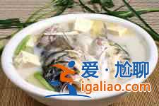 胖頭魚頭的做法大全？