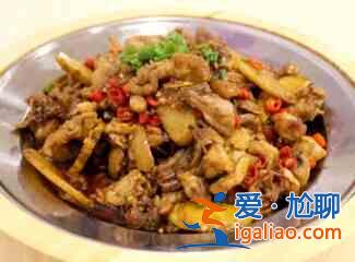 炒雞的做法大全？