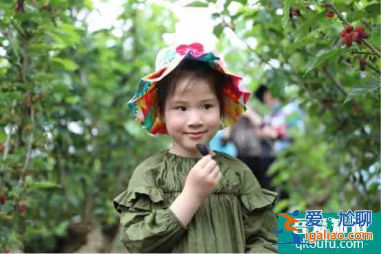 2020上虞區(qū)丁宅鄉(xiāng)“仙果+運(yùn)動(dòng)”休閑文化旅游系列活動(dòng)正式啟動(dòng)？