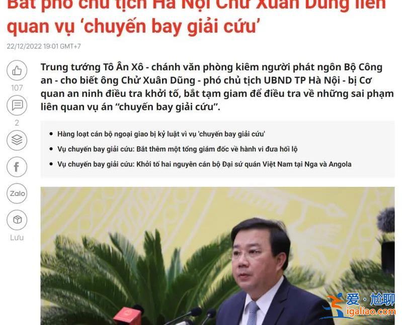 核酸腐敗窩案之后 越南疫情包機也出事了 越共外交部長受處分？
