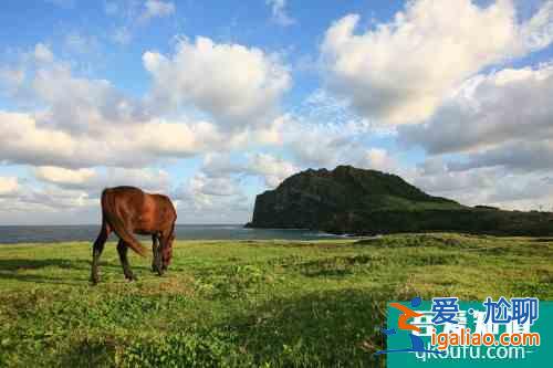 跨越山海 為你而來 韓國濟州島專屬微信表情包今起上線？