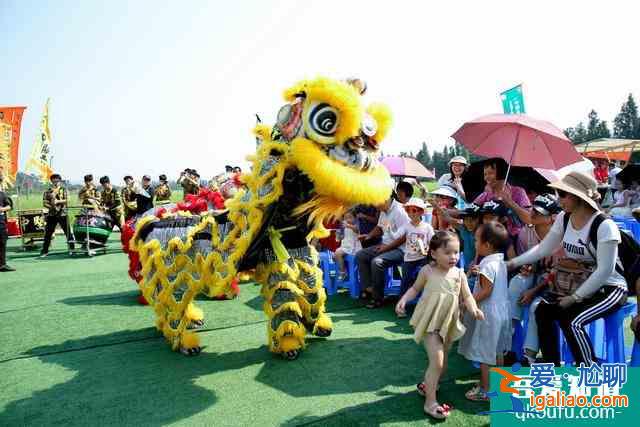 2019年珠海市“中國(guó)農(nóng)民豐收節(jié)” 開(kāi)啟第一波豐收喜訊？