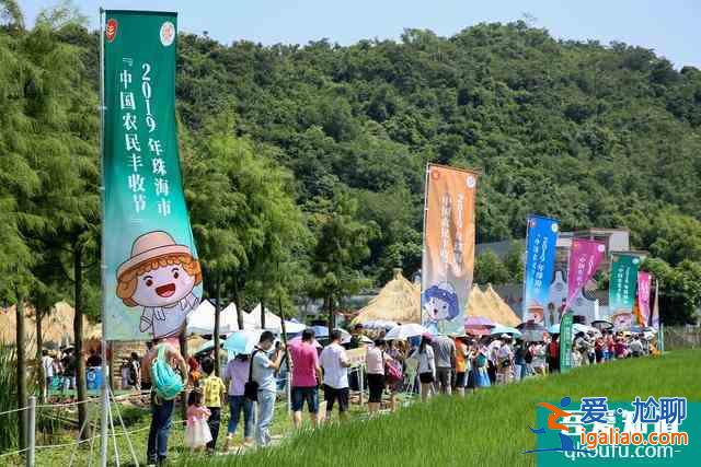 2019年珠海市“中國(guó)農(nóng)民豐收節(jié)” 開(kāi)啟第一波豐收喜訊？