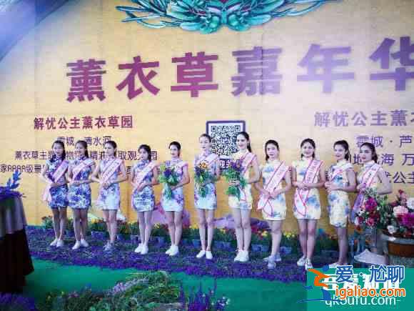 2019城市旅游小姐伊犁旅游推廣大使走進解憂公主薰衣草園？