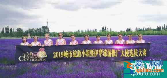 2019城市旅游小姐伊犁旅游推廣大使走進解憂公主薰衣草園？