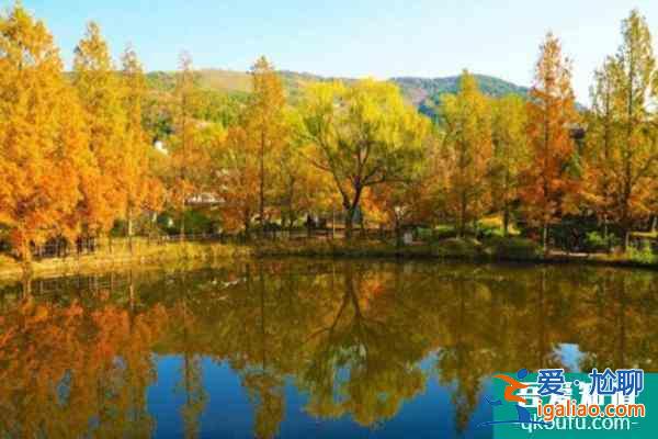 2022北京網(wǎng)紅打卡地推薦？
