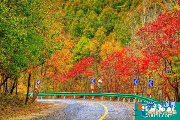 2022北京網(wǎng)紅打卡地推薦？