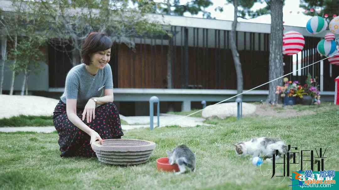 《白色月光》：張一懷疑丈夫出軌滿世界找小三，給了女人一個(gè)警醒？
