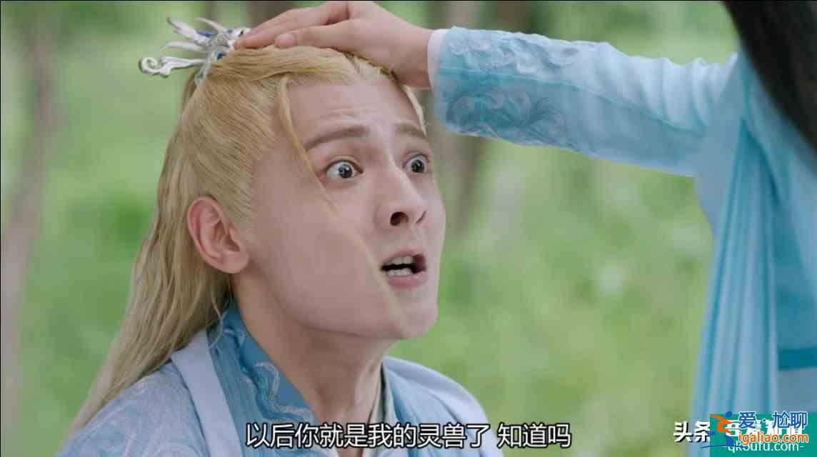 琉璃：藤蛇神君怎么突然下界放一把火？就為了做璇璣的靈獸？？