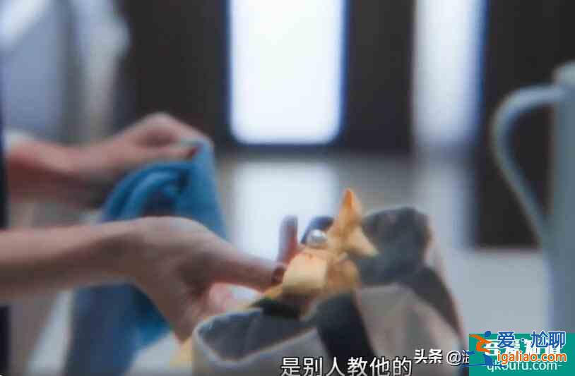 白色月光：萬萬沒想到，張?chǎng)蔚某鲕墝?duì)象竟然是劉敏濤飾演的楊雁？