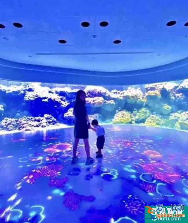 昆凌帶孩子去海洋館 小小周跟媽媽一起看魚乖巧可愛？
