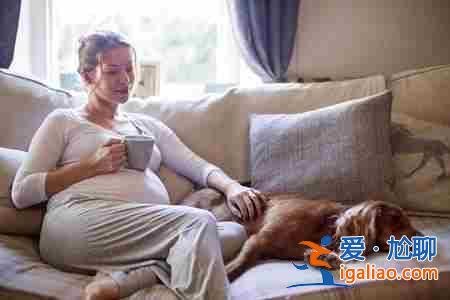 試管助孕基金(個體化的助孕治療)？