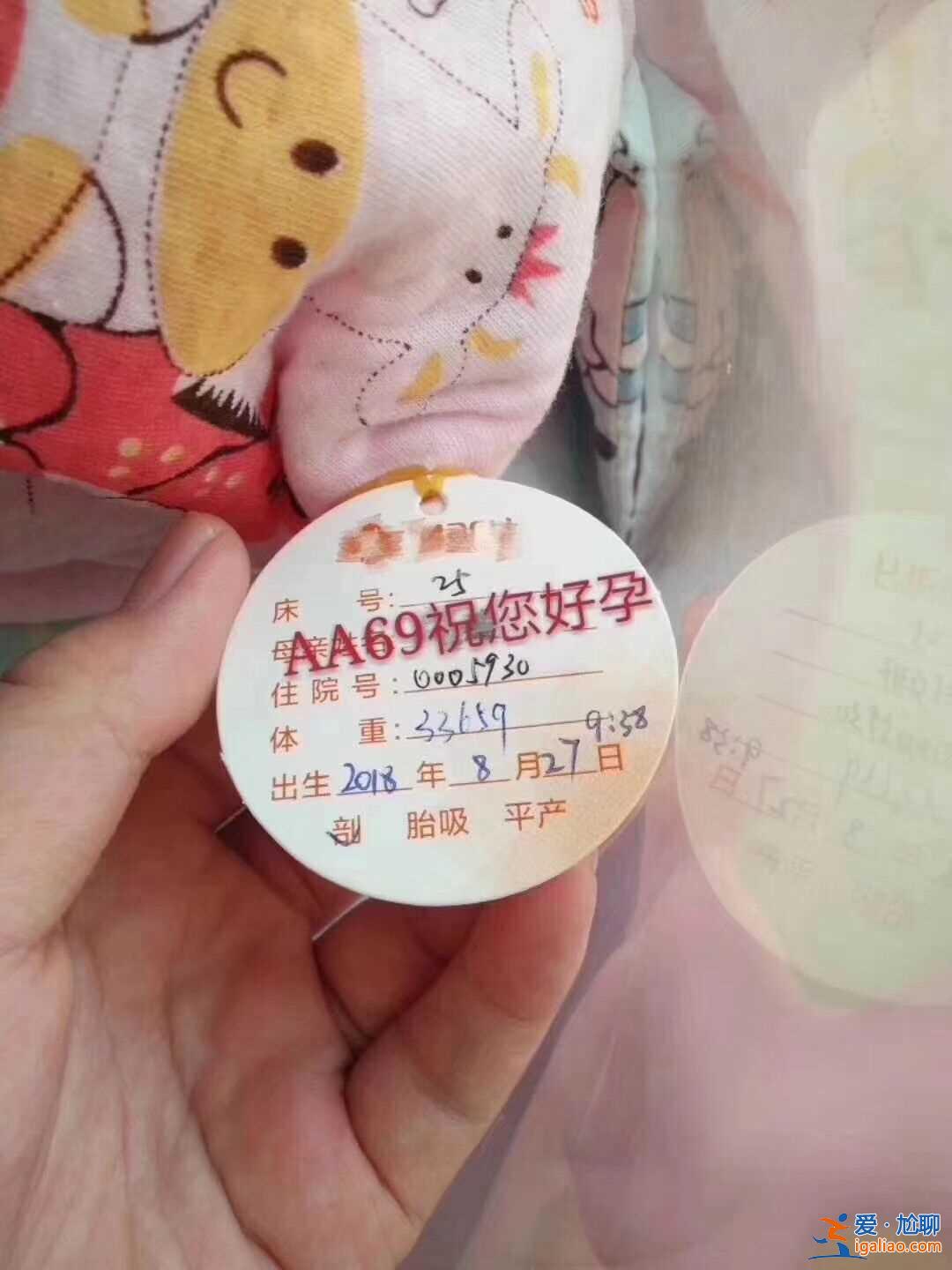 哪里有代生代懷機(jī)構(gòu),高齡想要孩子？